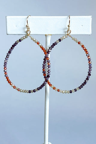 Luisa Circle Earrings Purple