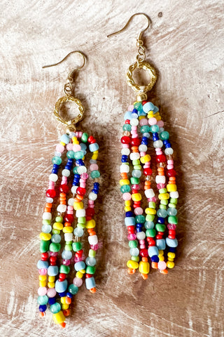 Sadie Earrings Multi